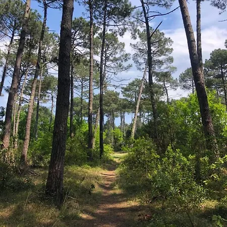 Escapade Basque - Jardin Privatif Et Ocean A Velo Anglet